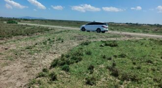 Sidai Gardens Phase 2